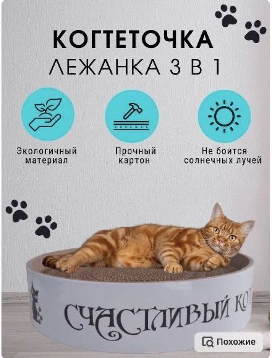 Ожидание
